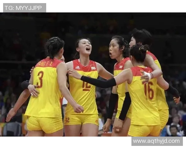 重庆排球队实力强劲荣登全国排球力量排行榜第四名